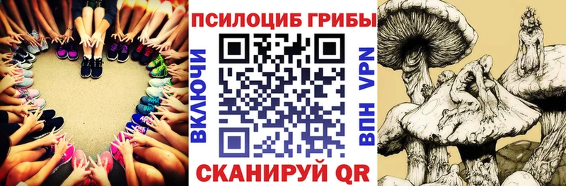 Псилоцибиновые грибы Cubensis  Красновишерск 